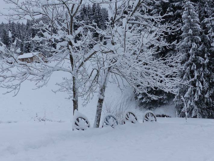 Chambre d’hôte pour 8 personnes, avec jardin dans le Jura - 4