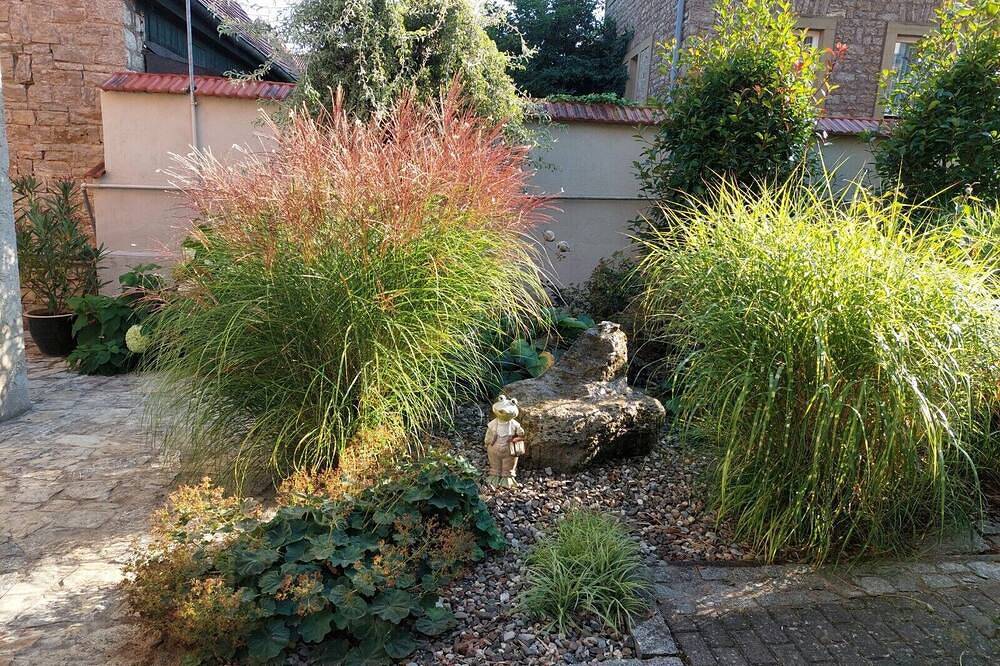 Ganze Wohnung, Gemütliche Souterrainwohnung (40qm) mit Terrasse in Dettelbach, Fränkisches Weinland