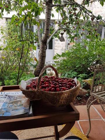Gîte pour 2 Personnes dans Achères-la-Forêt, Parc naturel régional du Gâtinais français, Photo 4