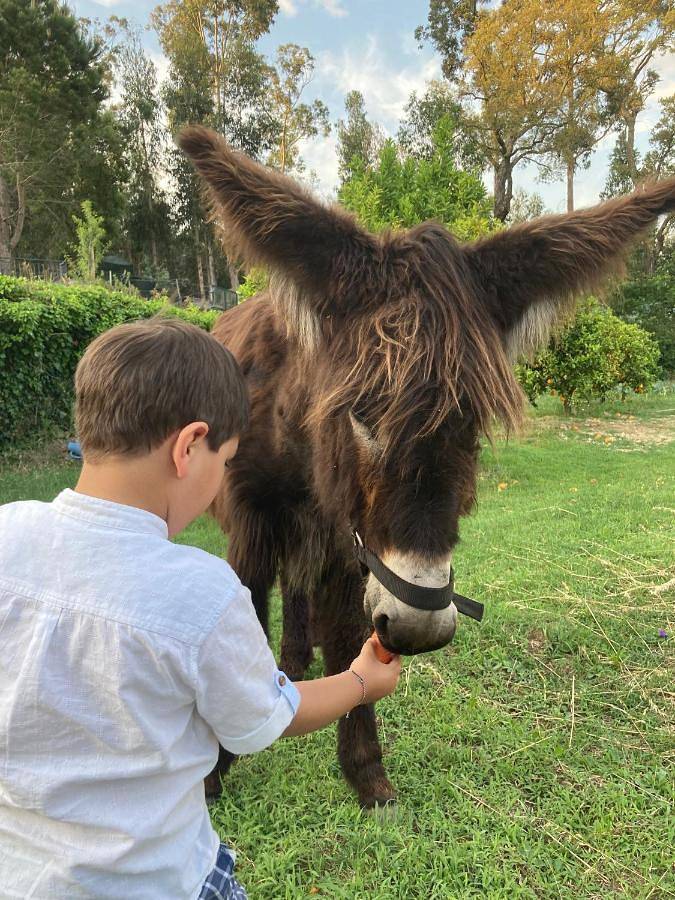 Location de vacances pour 2 personnes, avec jardin ainsi que piscine et vue dans Tondela - 3