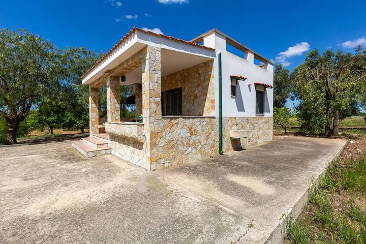 Gîte pour 5 personnes, avec jardin à Casarano - 3