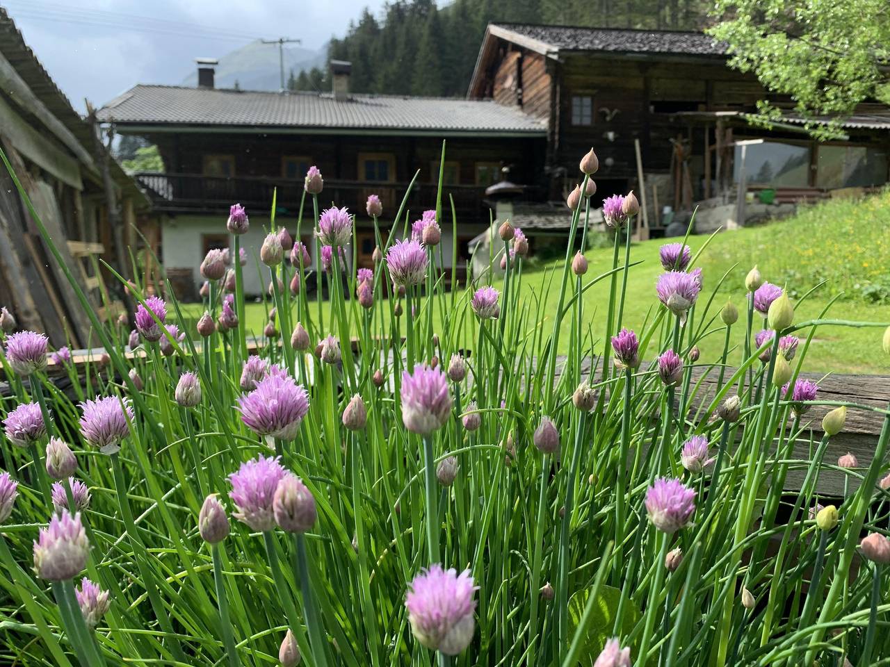 Ferienhaus für 8 Personen mit Terrasse in Sankt Jakob in Defereggen, Bezirk Lienz