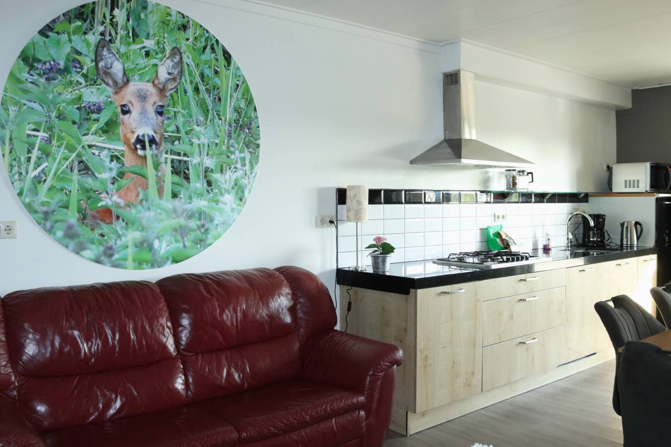 Groepsaccommodatie met sauna voor 8 personen, zeer landelijk gelegen in Drijber, Drenthe in Nationaal Park Dwingelderveld