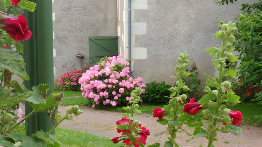 Bed and Breakfast 'Chambre Anis' with Shared Garden and Wi-Fi in Cheillé, Loire Valley