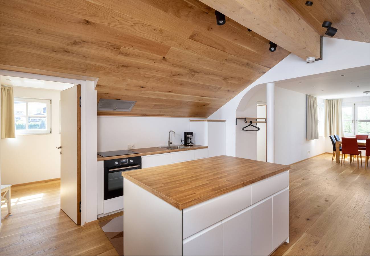 Geheel appartement, 1401 Dorf Loft Montafon in Gaschurn, Gaschurn en omgeving