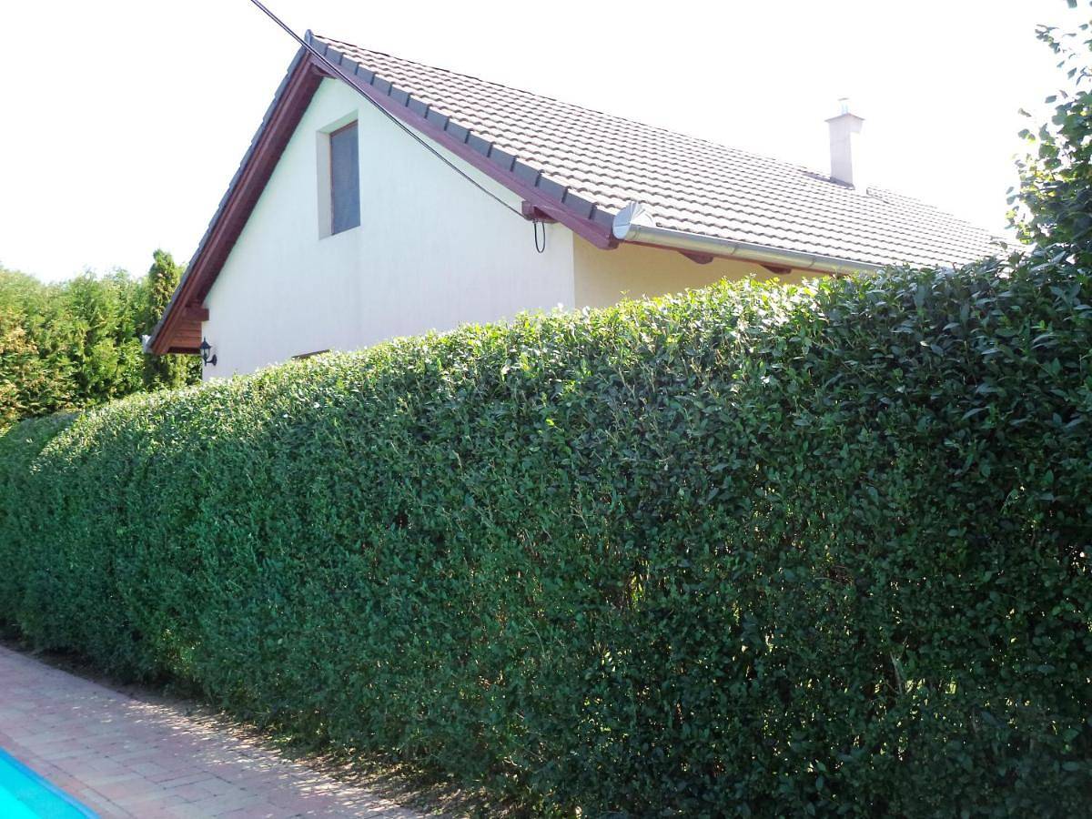 Kinga House in Keszthely, Balaton Region