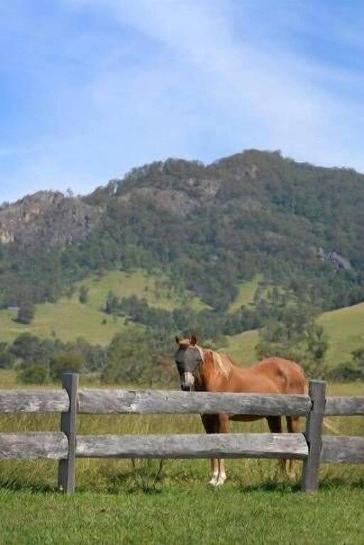 Barrington Hideaway, River Cottages in Gloucester, New South Wales