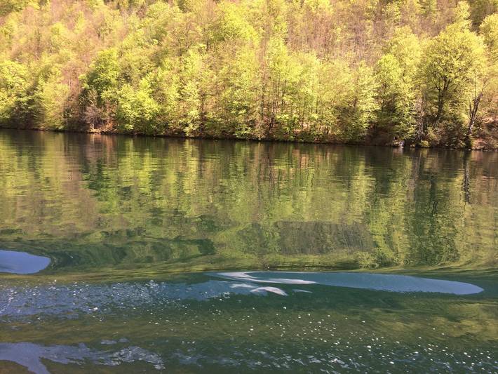 Ferienwohnung für 4 Personen, mit Balkon und Balkon/Terrasse in Grabenstätt - 4