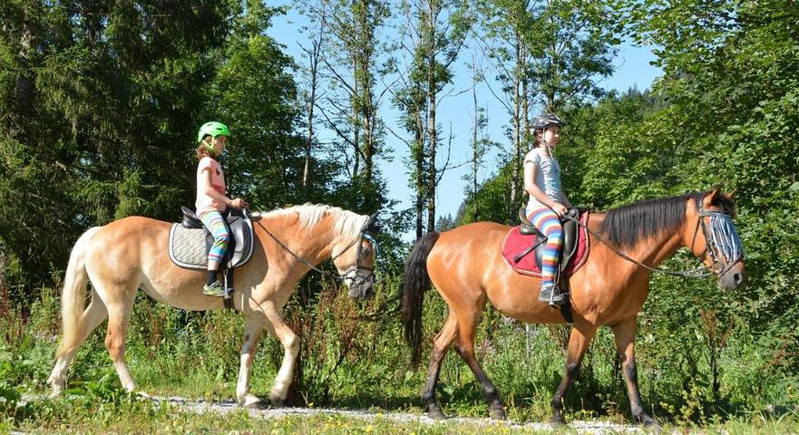 Ferienwohnung für 2 Personen, mit Ausblick und Garten sowie Sauna, mit Haustier in Werfenweng - 3