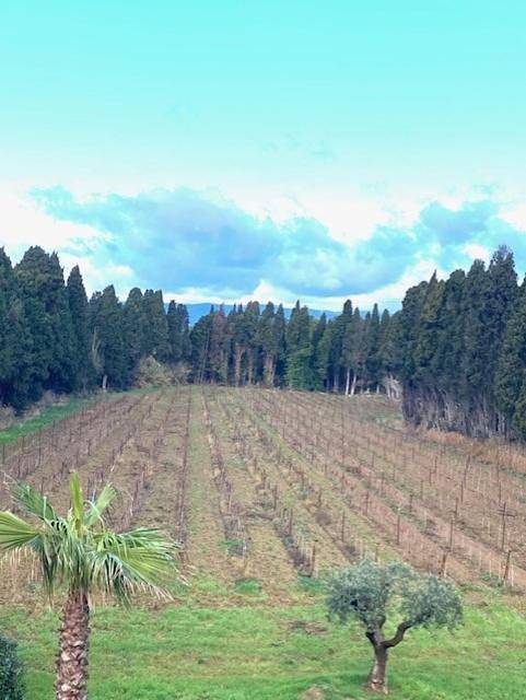 Location de vacances pour 11 personnes, avec vue ainsi que jardin et piscine à Tourouzelle - 3