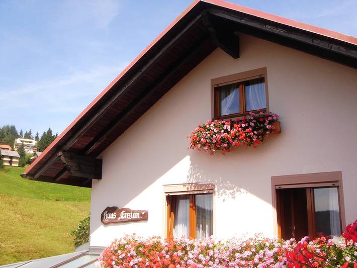 Hotel- Pension Enzian, Doppelzimmer mit Balkon oder Terrasse inklusive Frühstück in Todtnauberg (Todtnau), Todtnau