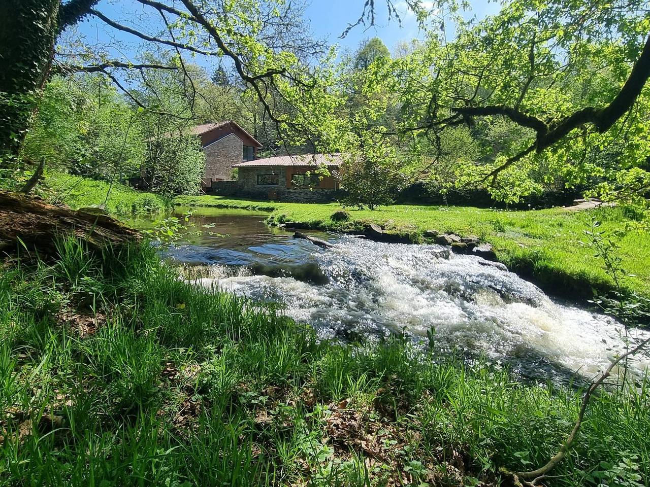 Le Rabaud in Saint-Gence, Région de Limoges