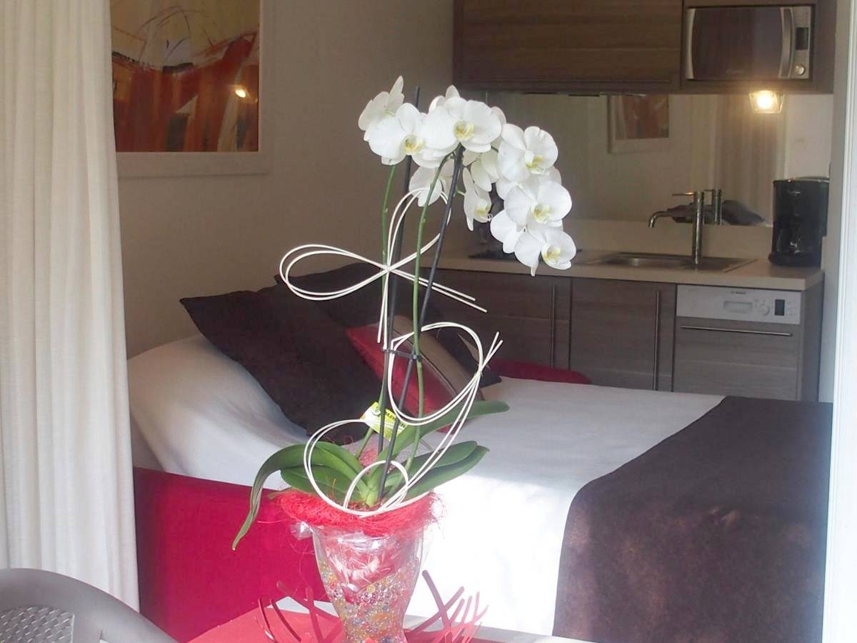 Appart’hôtel pour 3 personnes avec terrasse in Saint-Cyprien-Plage, Saint-Cyprien