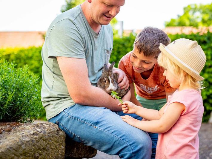 Ferienwohnung für 3 Personen, mit Garten und Sauna in Thüringen - 3