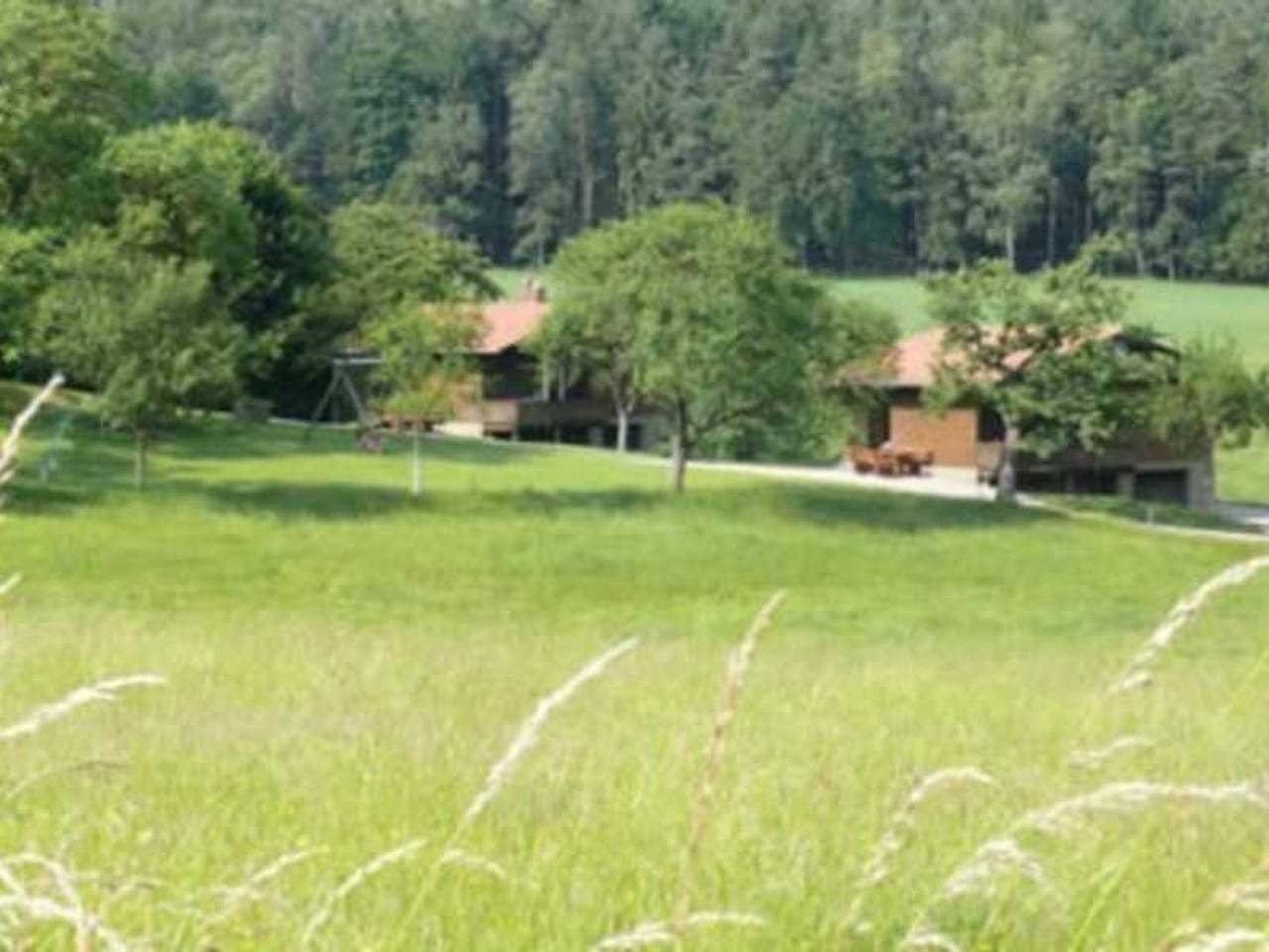 Ferienhäuser Siefertshof in Mossautal, Odenwaldkreis