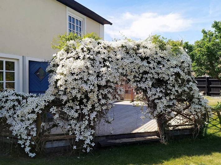 Ferienhaus für 7 Personen, mit Terrasse und Garten, kinderfreundlich in Skane - 2