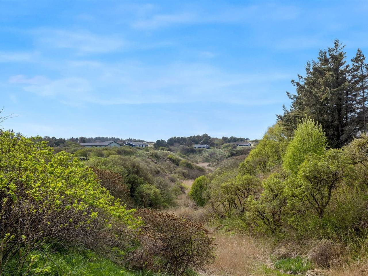 "Wante" - 900m from the sea in Hirtshals region, Tannisbucht