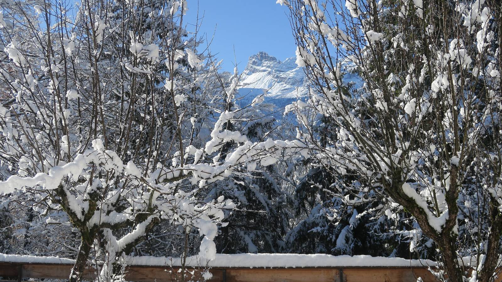 Ganze Wohnung, Ferienwohnung 'Bruna' mit Bergblick, privater Terrasse und Wi-Fi in Forno di Zoldo, Val di Zoldo