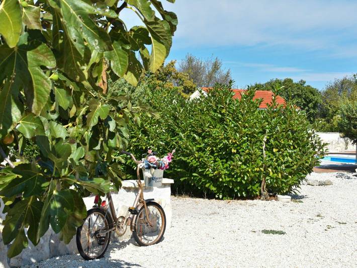 Holiday Home Mystc Woods in Dalmatinisches Zagora