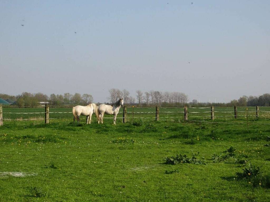 Ferienhaus in Balje mit Wifi in Balje, Nordseeküste