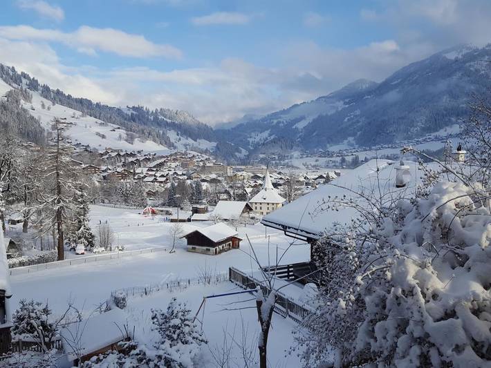 Ganze Wohnung, Burkhalter in Saanenmöser, Zweisimmen