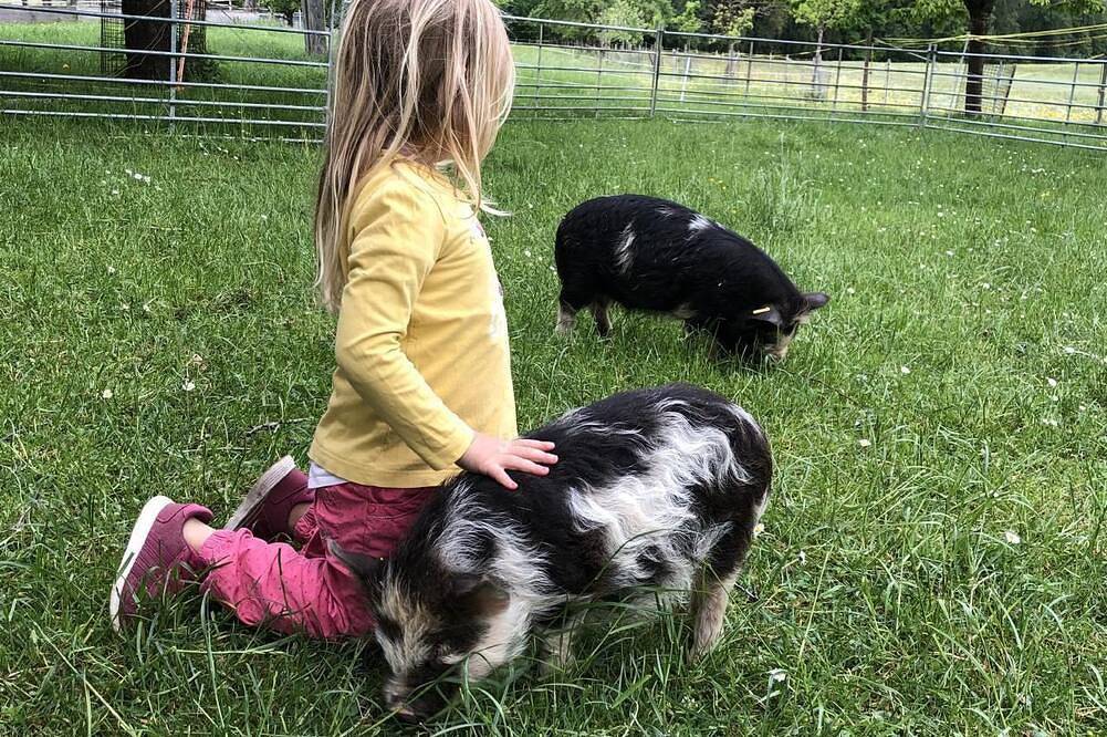 Apartamento de vacaciones Eschenz para 1 - 7 personas con 2 dormitorios - Casa rural in Eschenz, Lake Constance (Switzerland)