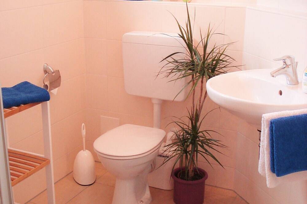 Ganze Wohnung, Appartement/Zimmer *Ambiente*  in  Wertach  -  Urlaub Mit Ausblick !!! in Wertach, Bayerisch Schwaben