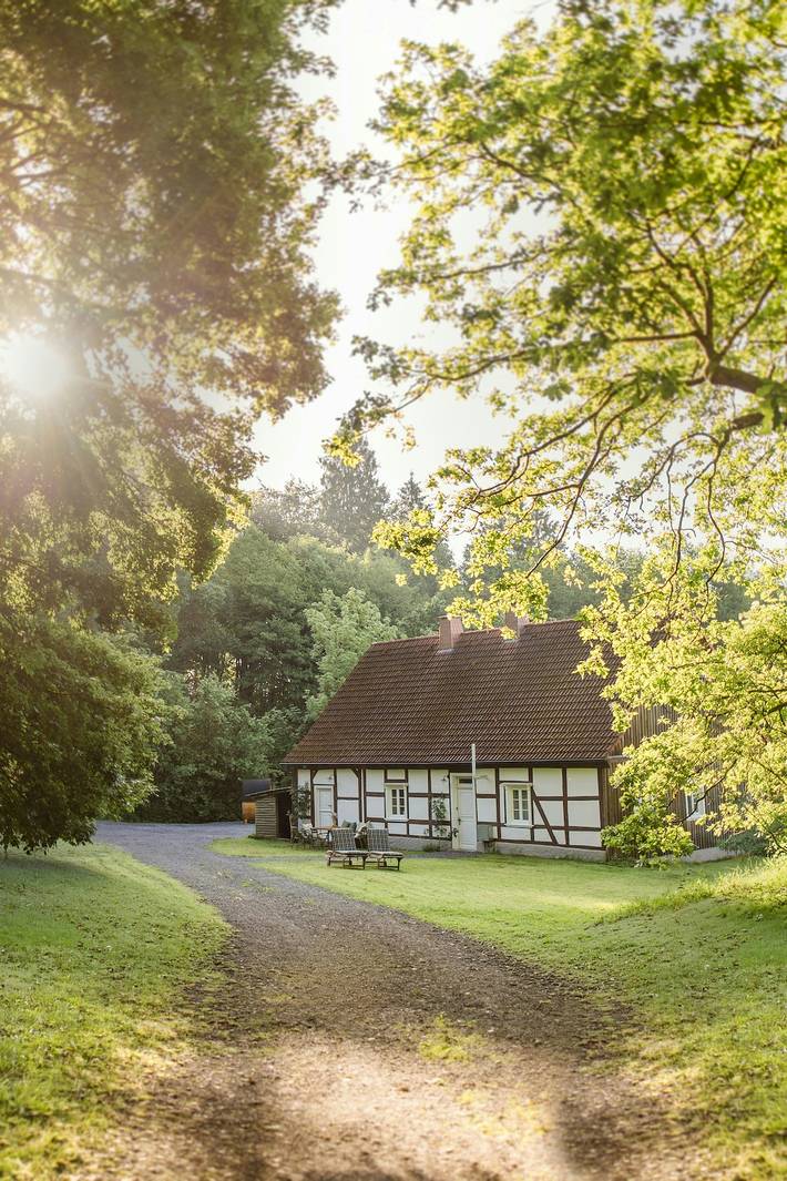 Ferienhaus für 6 Personen, mit Terrasse und Sauna, kinderfreundlich - 1