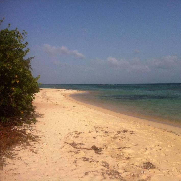 Gîte pour 2 personnes, avec jardin, animaux acceptés dans Port De Saint Francois - 2