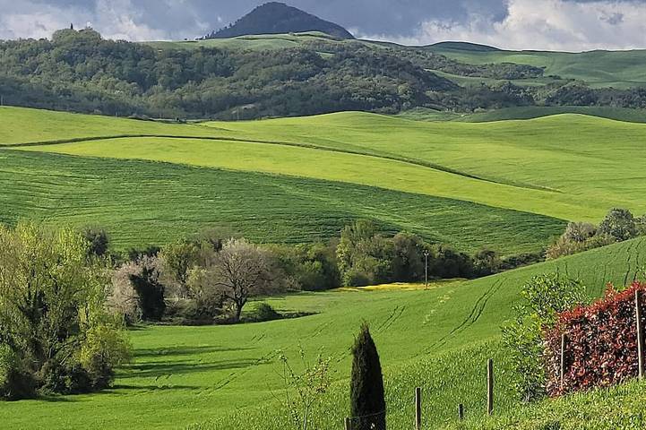 Appartamento vacanze per 4 persone, con giardino, con animali domestici - 1