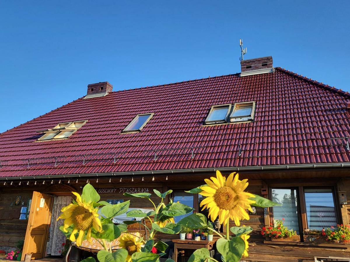 Dom Gościnny Ptaszarnia - Natura-Free Parking in Świnoujście, Zalew Szczeciński