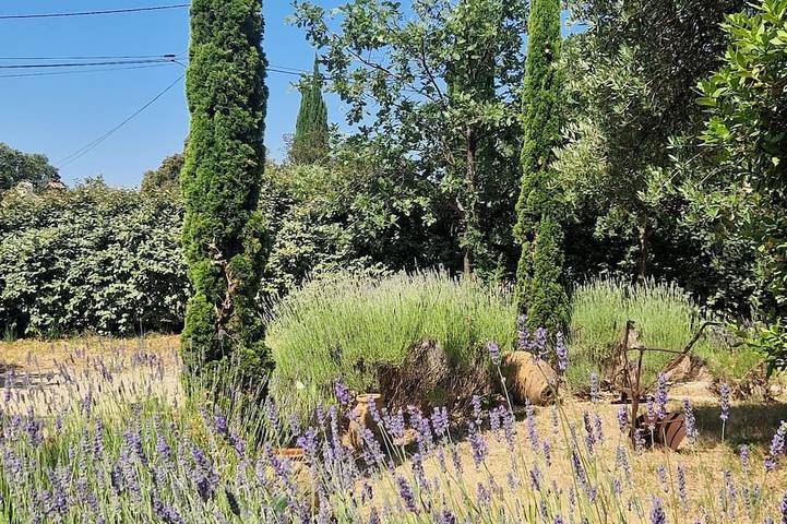 Location de vacances pour 6 personnes, animaux acceptés à Sainte-Anastasie-sur-Issole - 4