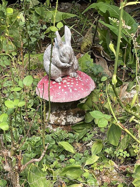 Cottage for 4 people, with terrace and garden in Oregon