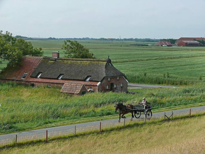 Ferienhaus für 2 Personen, mit Garten - 1