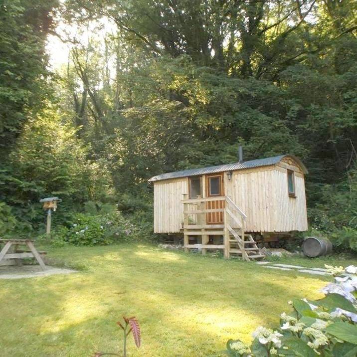 'Morris' the shepherd's hut ,woodland hot tub available, separate fee in Carmarthenshire