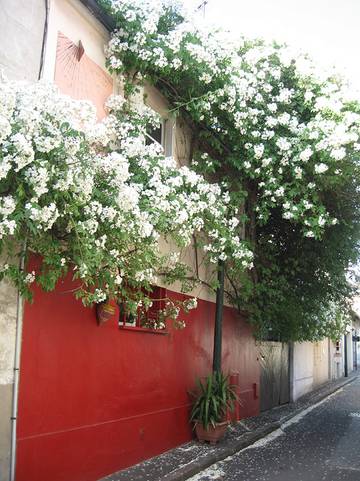 Gîte pour 4 personnes, avec jardin à Malakoff