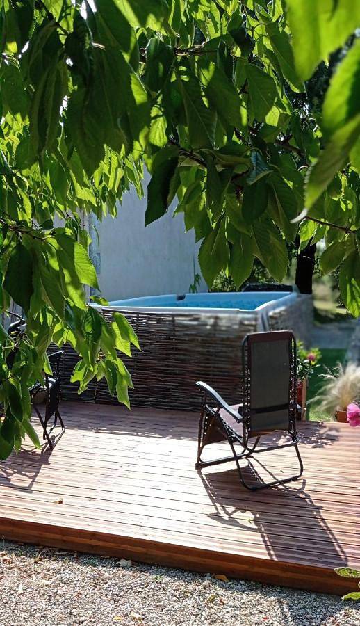 Location de vacances pour 10 personnes, avec piscine et jardin, animaux acceptés à Saint-Fort-sur-Gironde - 2