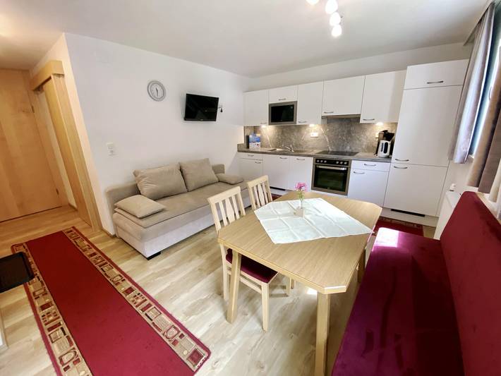 Ganze Ferienwohnung, "Top 1 Samnaun"(2-4 Pers.)/1 Schlafraum/Du, Wc in Kappl, Verwall