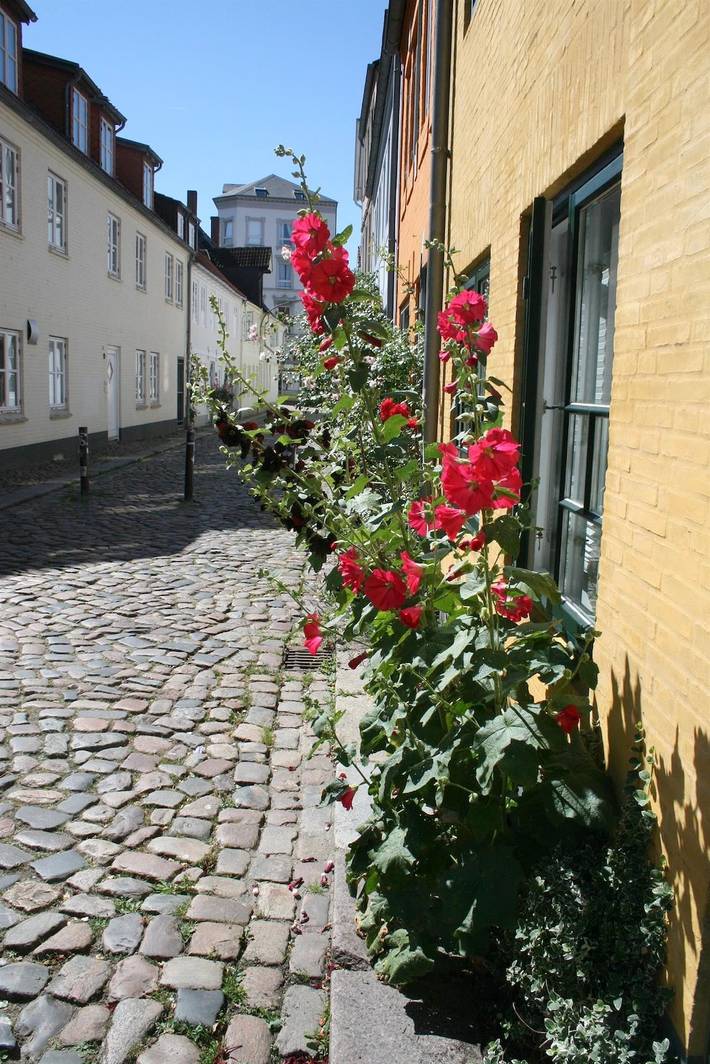 Ferienwohnung für 2 Personen, mit Terrasse und Garten in Dampf Rundum - 2