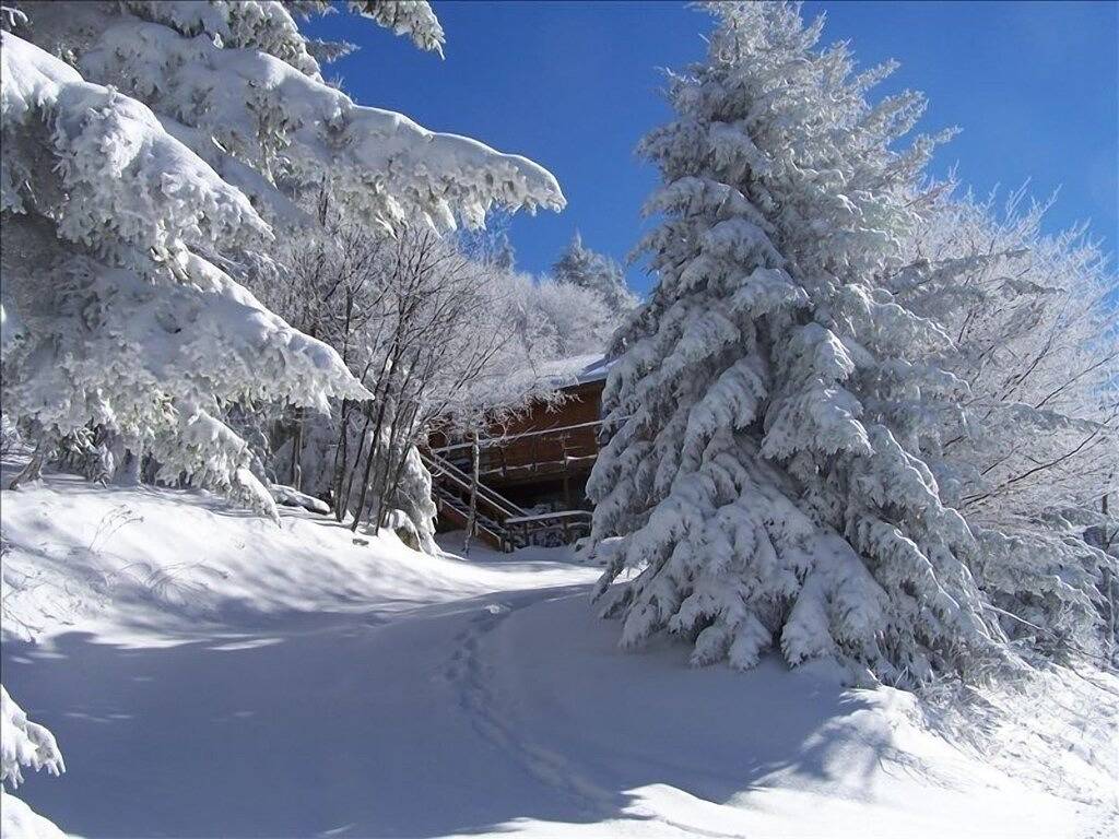 Wunderschönes Ski In-Ski Out Chalet nahe der Spitze des Western Express Skilifts. in Snowshoe, Greenbrier River