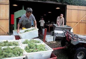 Cottage for 6 People in Wollombi, Hunter Valley, Photo 2