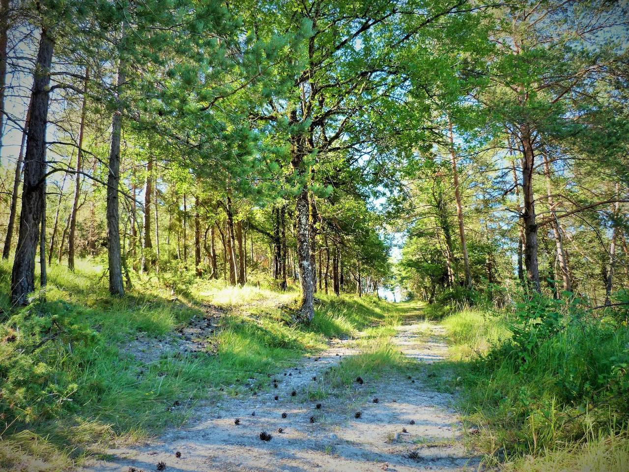 Évadez-vous au Domaine de la Salamandre : Nature, Sérénité et Art de Vivre Durable in Auriac-du-Périgord, Périgord Noir