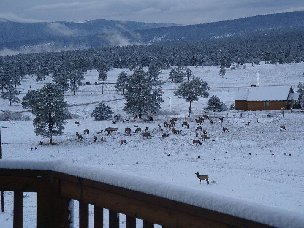Unglaubliche Aussicht, perfekte Lage, Platz für alle in San Juan National Forest