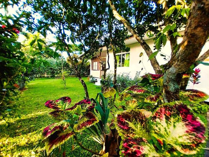 Location de vacances pour 6 personnes, avec terrasse et jardin dans Mahina - 4