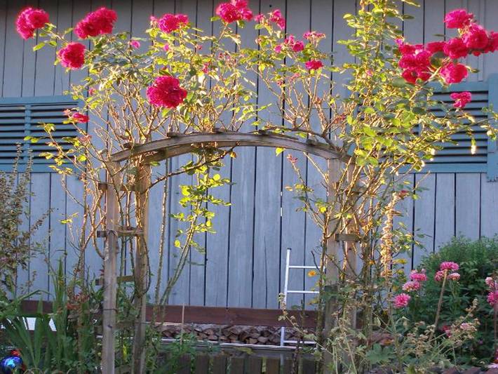 Bauernhaus für 4 Personen, mit Garten, kinderfreundlich - 1
