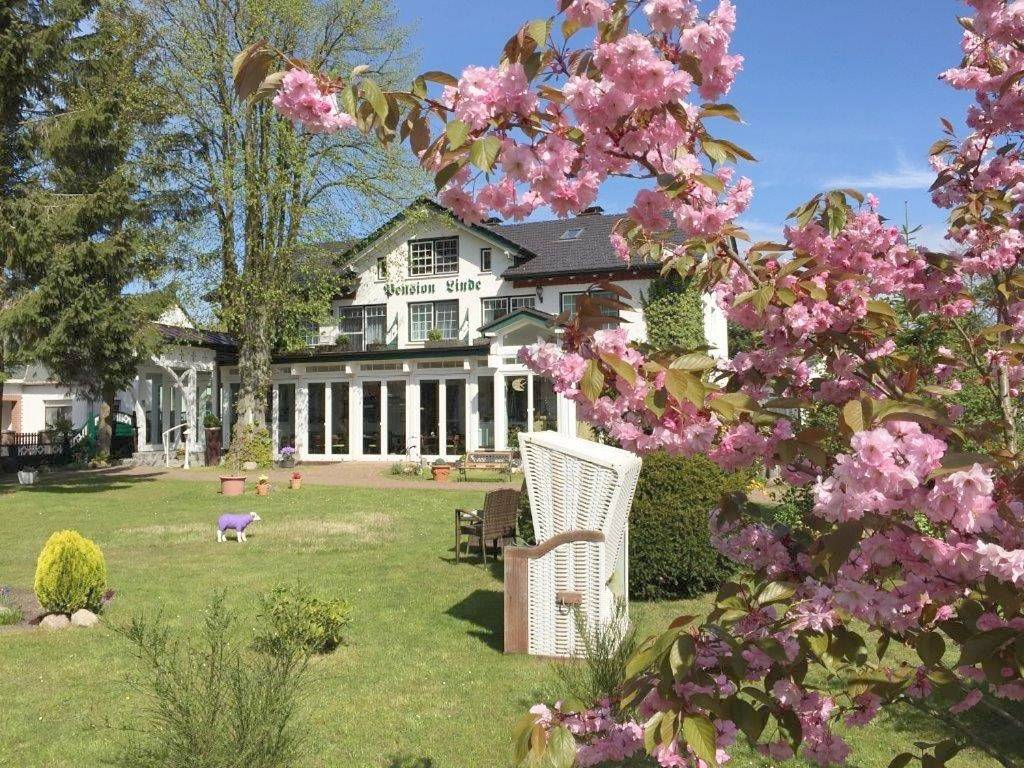 Pension Linde Prerow in Prerow, Fischland - Darß - Zingst
