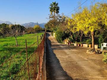 Ferienhaus in Búger, Mallorca Inselmitte für 6 