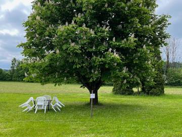 Bauernhof für 4 Personen in Tettnang, Region Bodensee-Oberschwaben, Bild 1