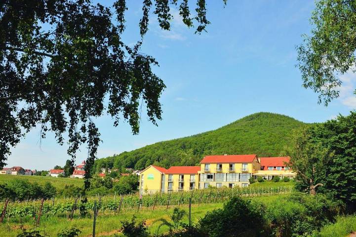 Hotel, mit Balkon und Terrasse sowie Garten und Pool in Rhodt unter Rietburg - 2