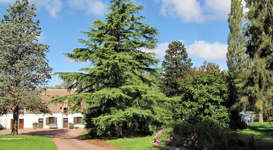 Location de vacances pour 2 personnes, avec jardin dans Sologne - 2